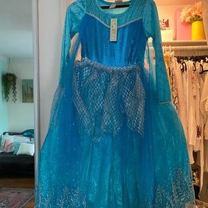 Elsa inspired child's costume